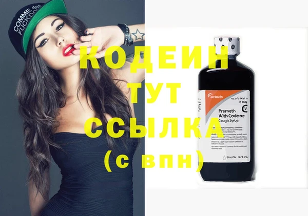 дживик Бронницы
