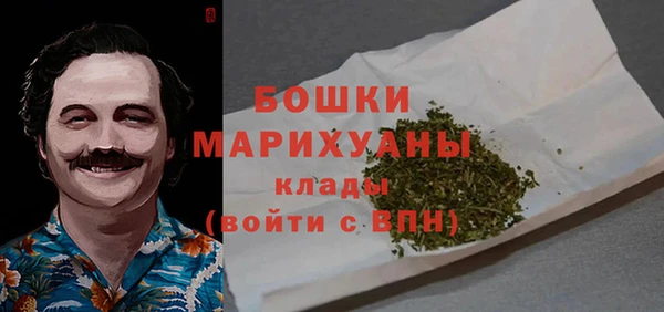дживик Бронницы