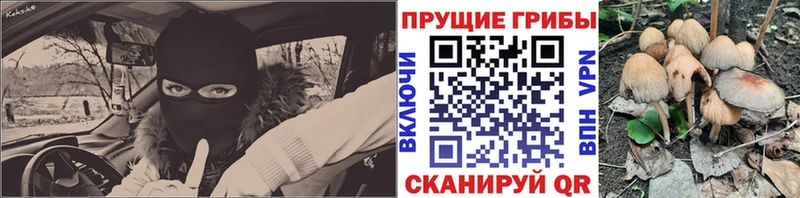 Галлюциногенные грибы GOLDEN TEACHER  наркота  Навашино 