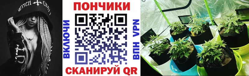Шишки марихуана SATIVA & INDICA  mega зеркало  Навашино  закладка 